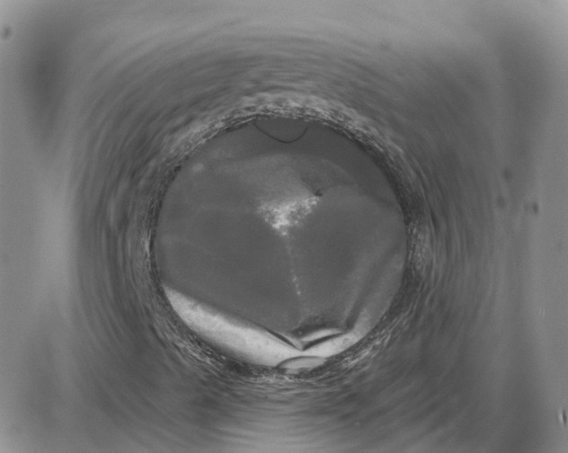 X0000087631489200705241201