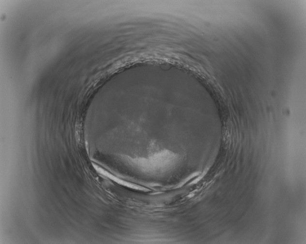 X0000087631490200705241202