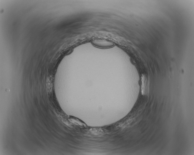 X0000087631491200705241202