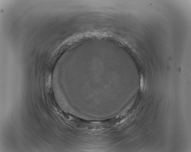 X0000087631492200705241202