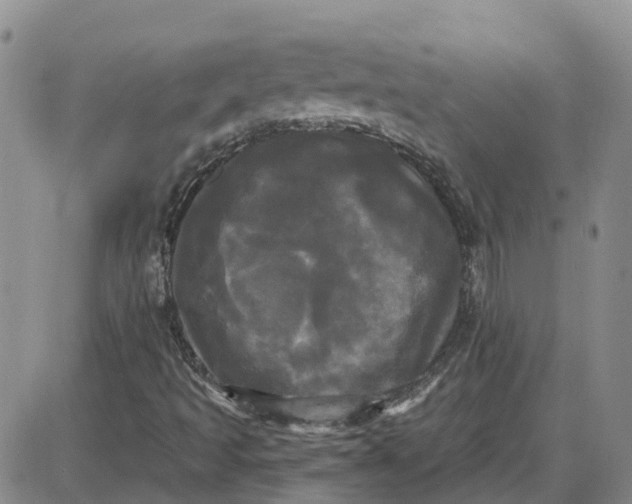 X0000087631493200705241202