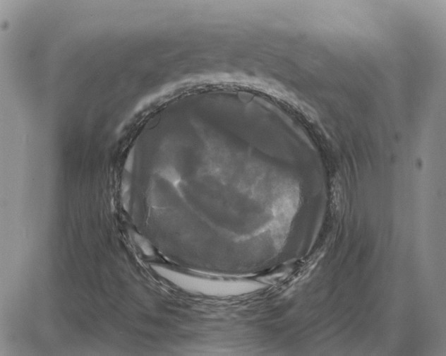 X0000087631494200705241202