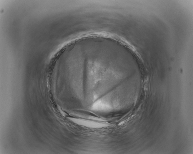 X0000087631496200705241202