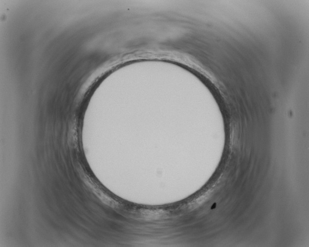 X0000087631498200705241202