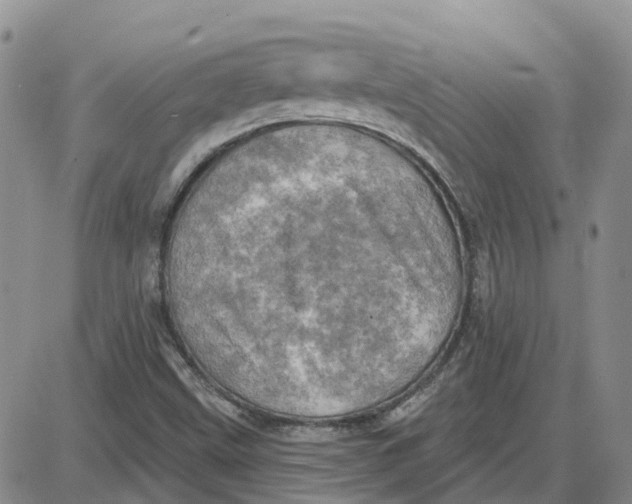 X0000087631499200705241202