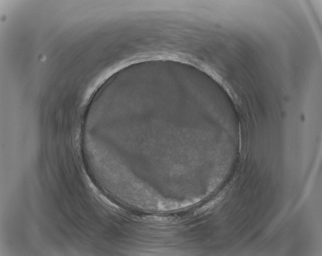 X0000087631500200705241202