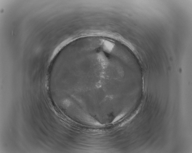 X0000087631501200705241202