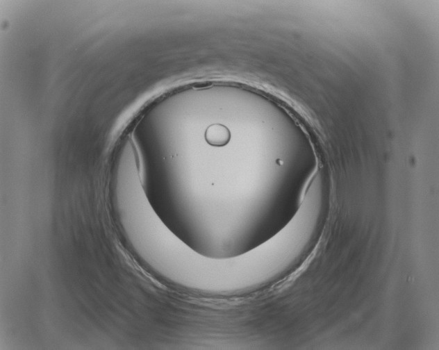 X0000087631502200705241202