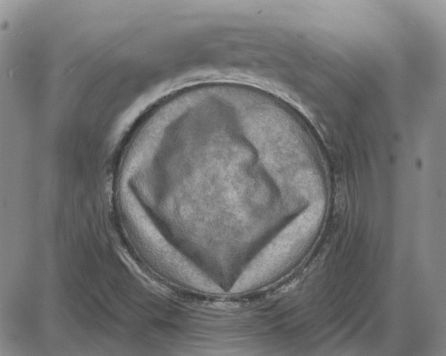 X0000087631503200705241202