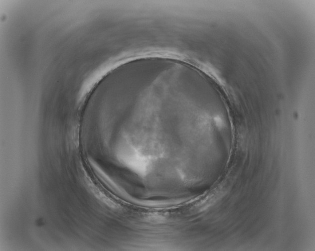 X0000087631504200705241202