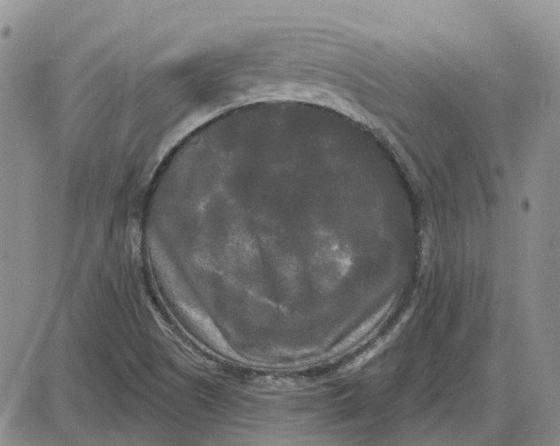 X0000087631505200705241202