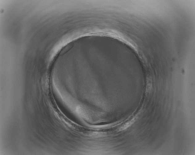 X0000087631506200705241202