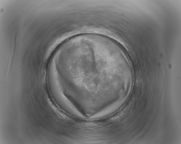 X0000087631507200705241202