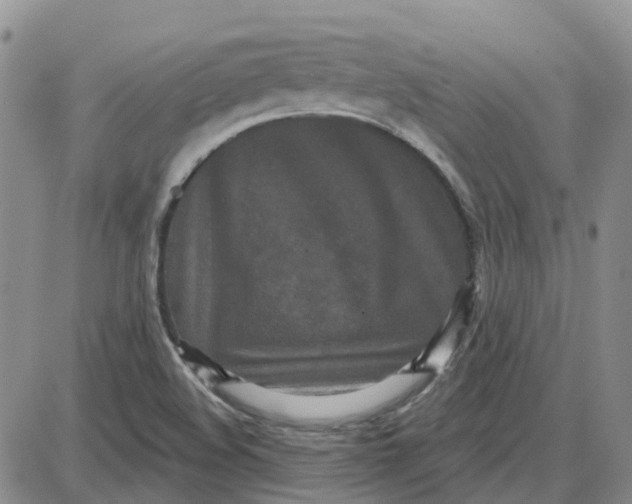 X0000087631508200705241202