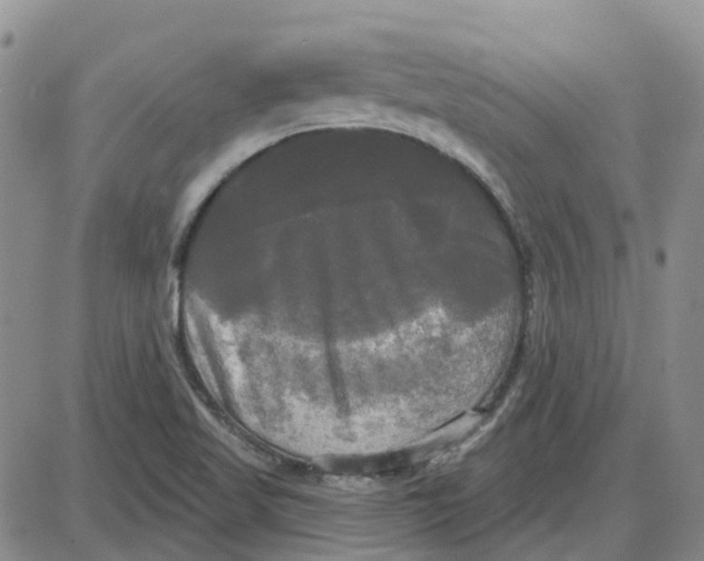 X0000087631509200705241202