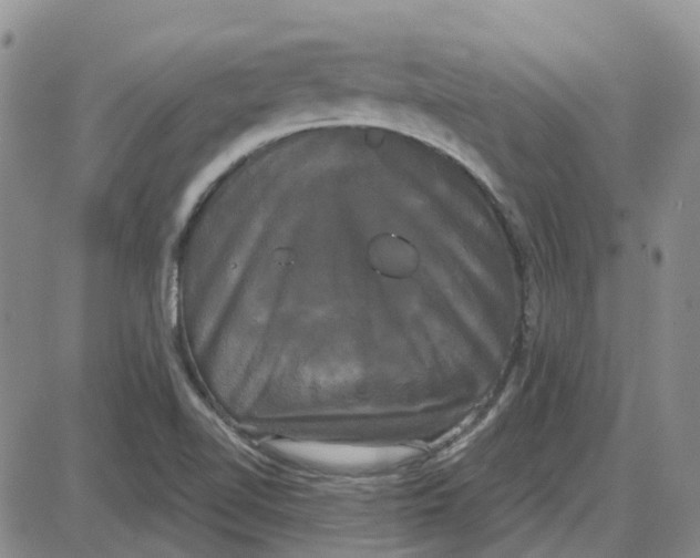 X0000087631510200705241202