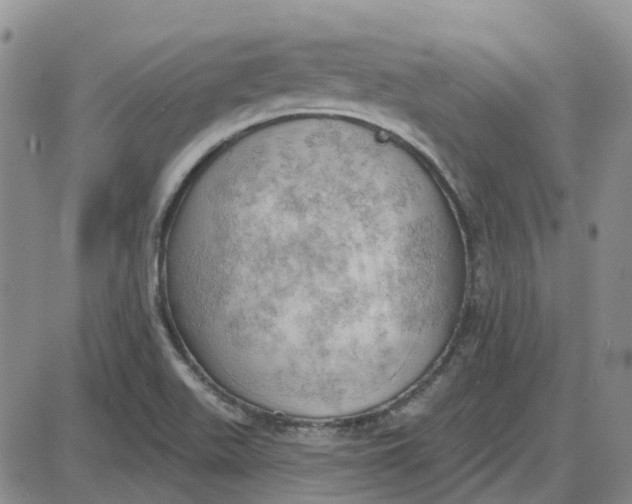 X0000087631511200705241202