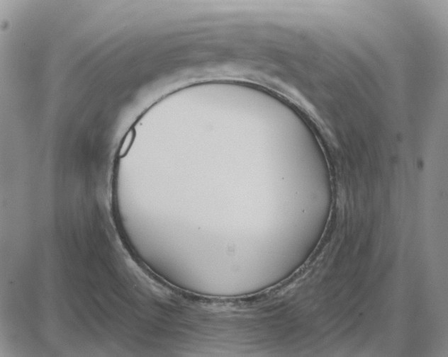 X0000087631512200705241202