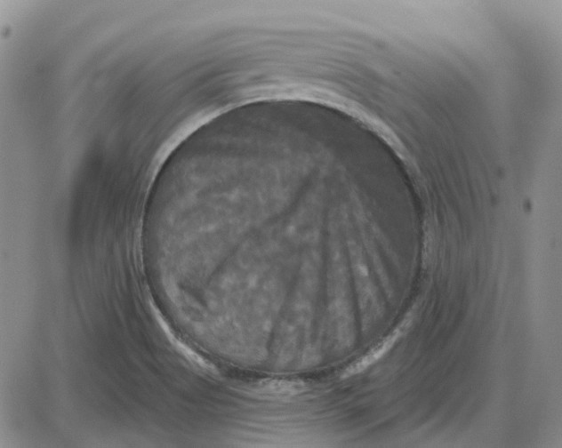 X0000087631513200705241202