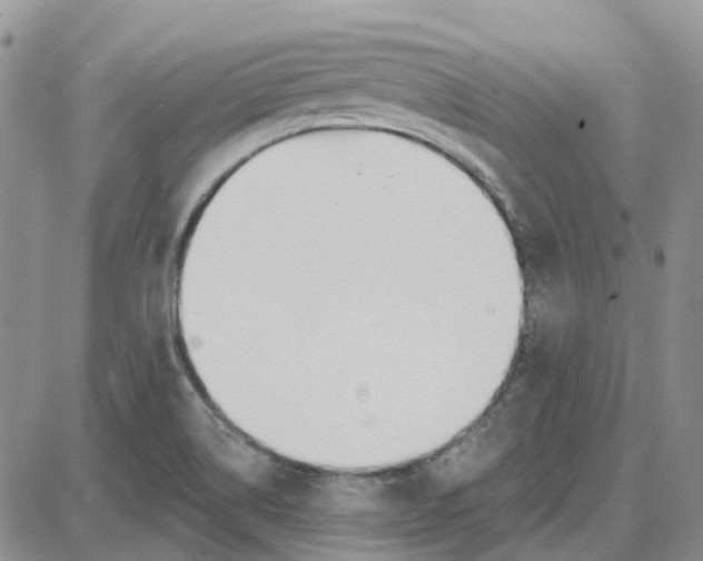 X0000087631514200705241202