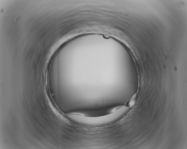 X0000087631515200705241202