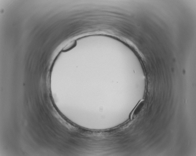 X0000087631516200705241202