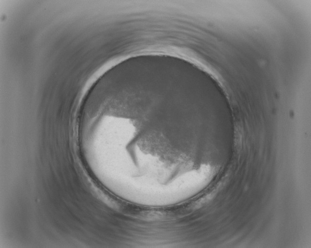 X0000087631517200705241202