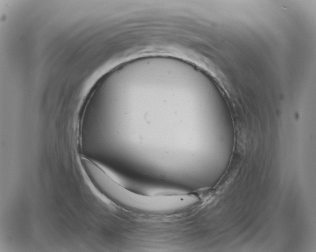 X0000087631519200705241202