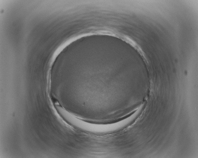 X0000087631520200705241202