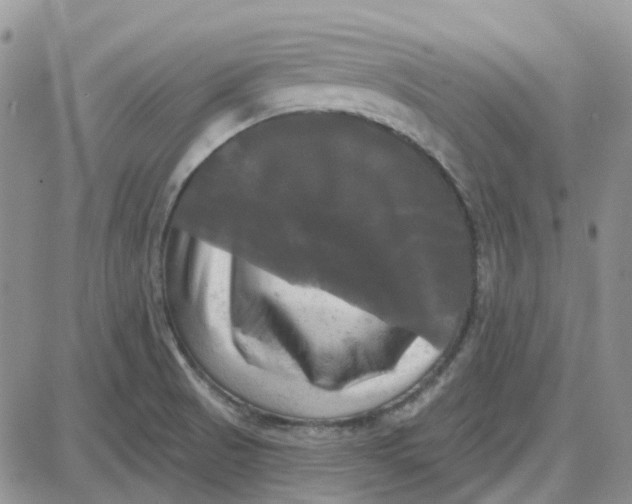 X0000087631521200705241202