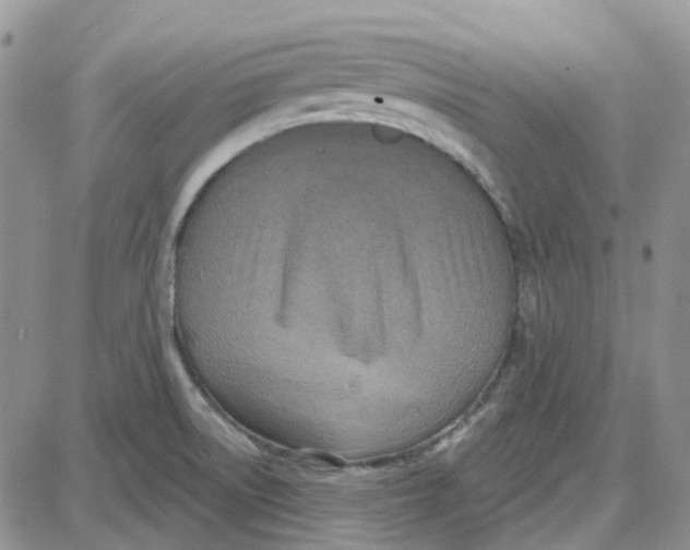 X0000087631522200705241202