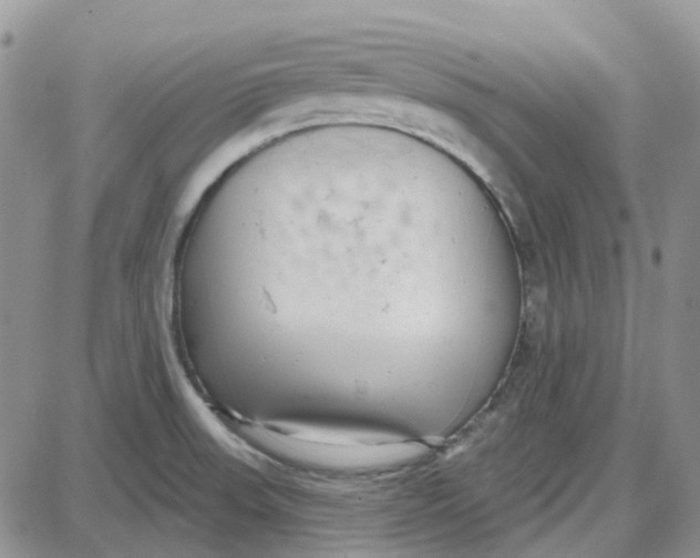 X0000087631523200705241202