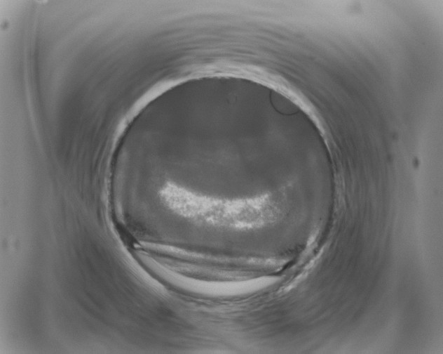 X0000087631525200705241202