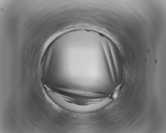 X0000087631527200705241202