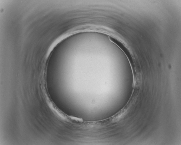 X0000087631530200705241202