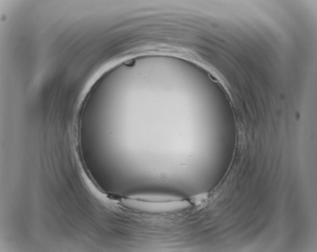 X0000087631531200705241202