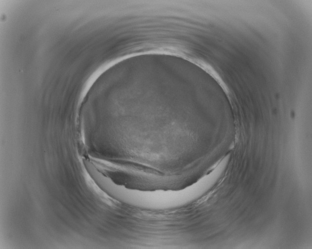 X0000087631532200705241202