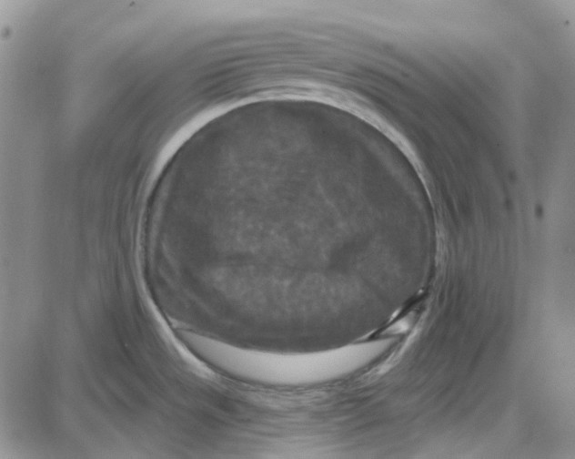 X0000087631533200705241202