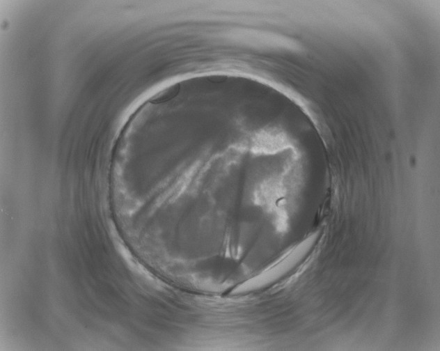 X0000087631534200705241202