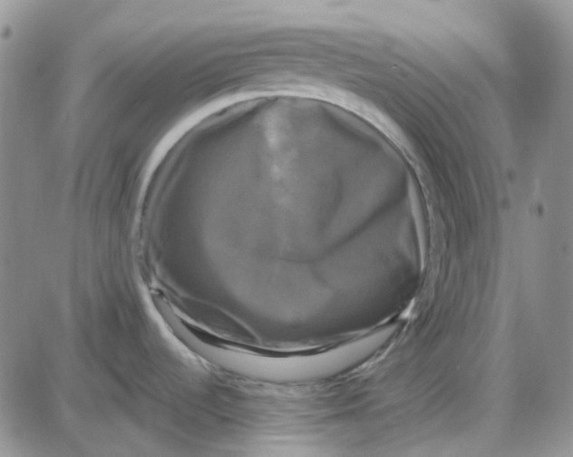 X0000087631536200705241202