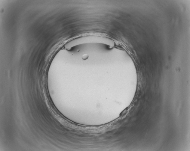 X0000087630001200705311340