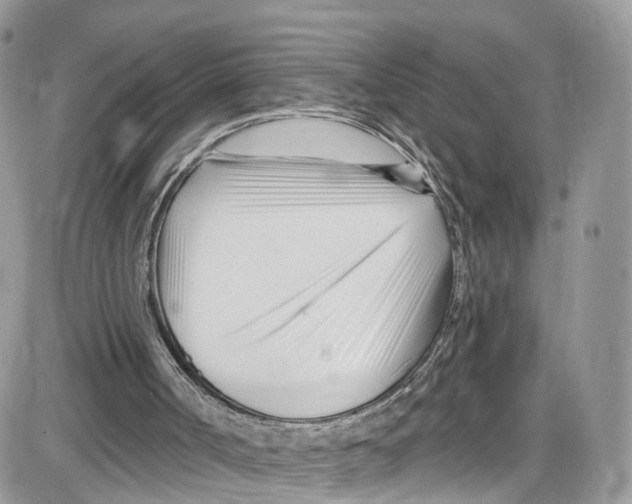 X0000087630002200705311340