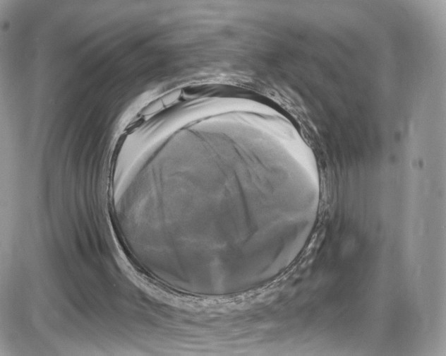 X0000087630003200705311340