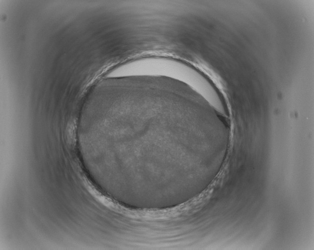 X0000087630009200705311340