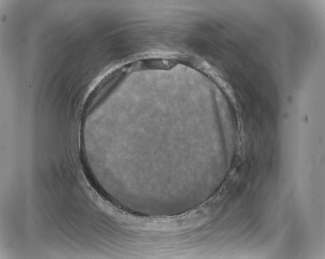 X0000087630011200705311340