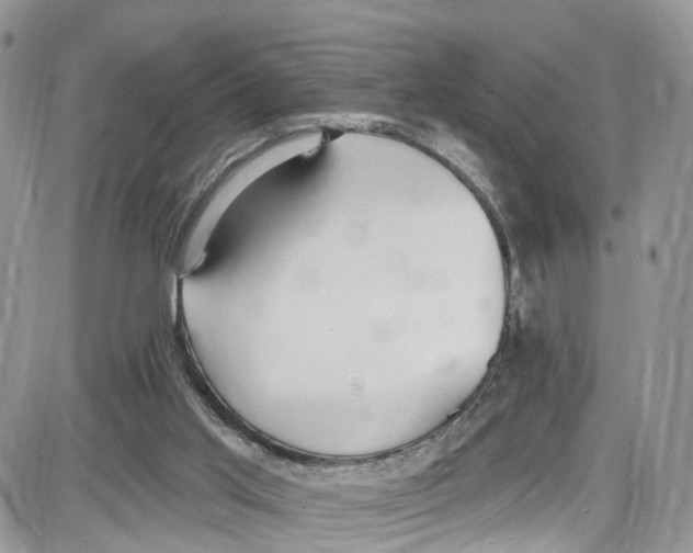 X0000087630013200705311340