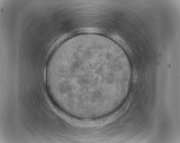 X0000087630014200705311340