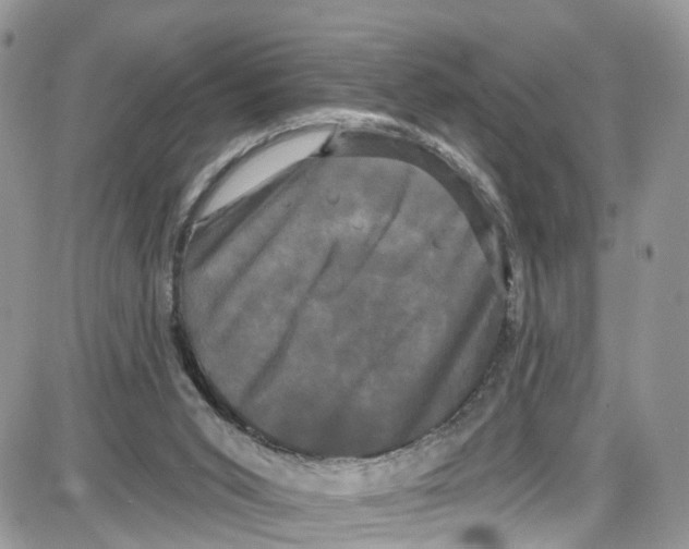 X0000087630015200705311340