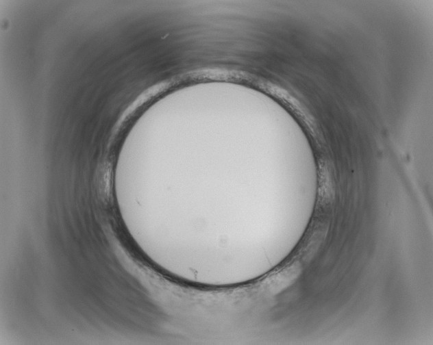 X0000087630016200705311340