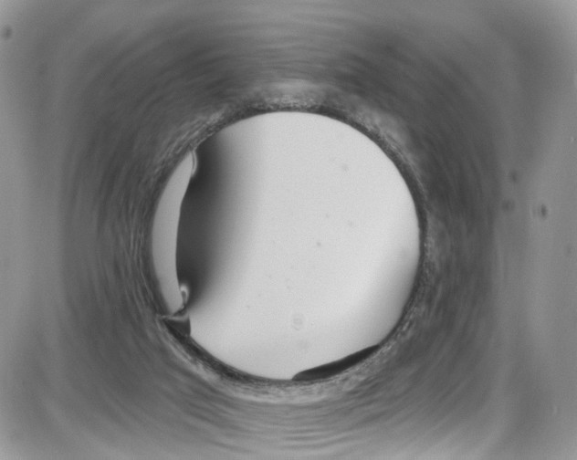 X0000087630017200705311340